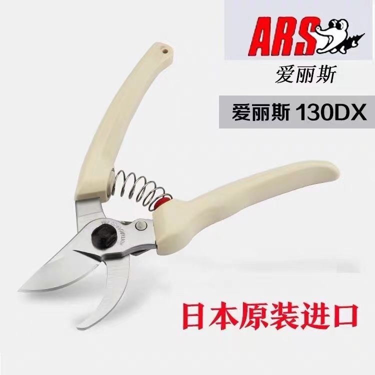 Gardening Tools Japan - Ciseaux d'élagage Alice ARS importés du