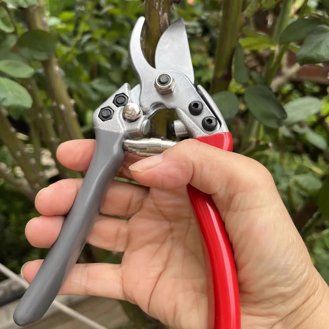 Gardening Tools Japan - Cisailles de jardinage robustes Vvt New