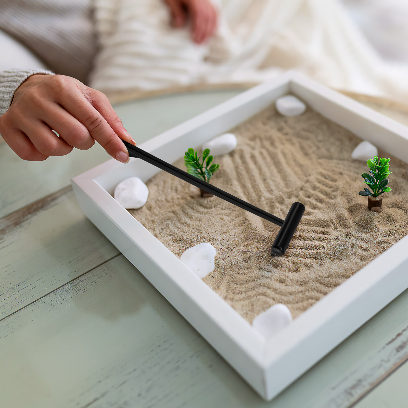 Ensemble de 6 mini râteaux de  - Zen Gardening Tools avis et prix