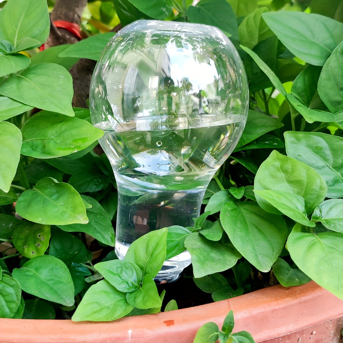 Outil d'arrosage automatique d - Gardening Tools Water avis et prix