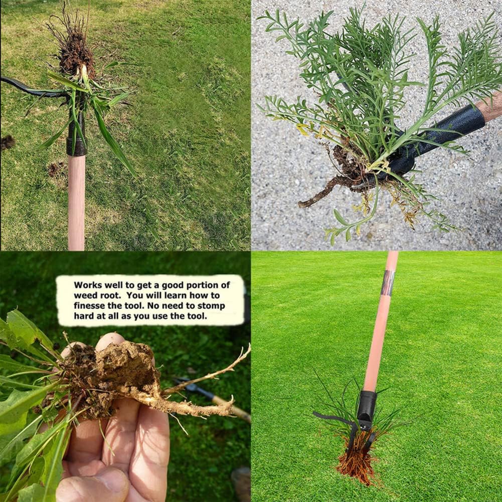 Extracteur de mauvaises herbes - Weed Puller avis et prix