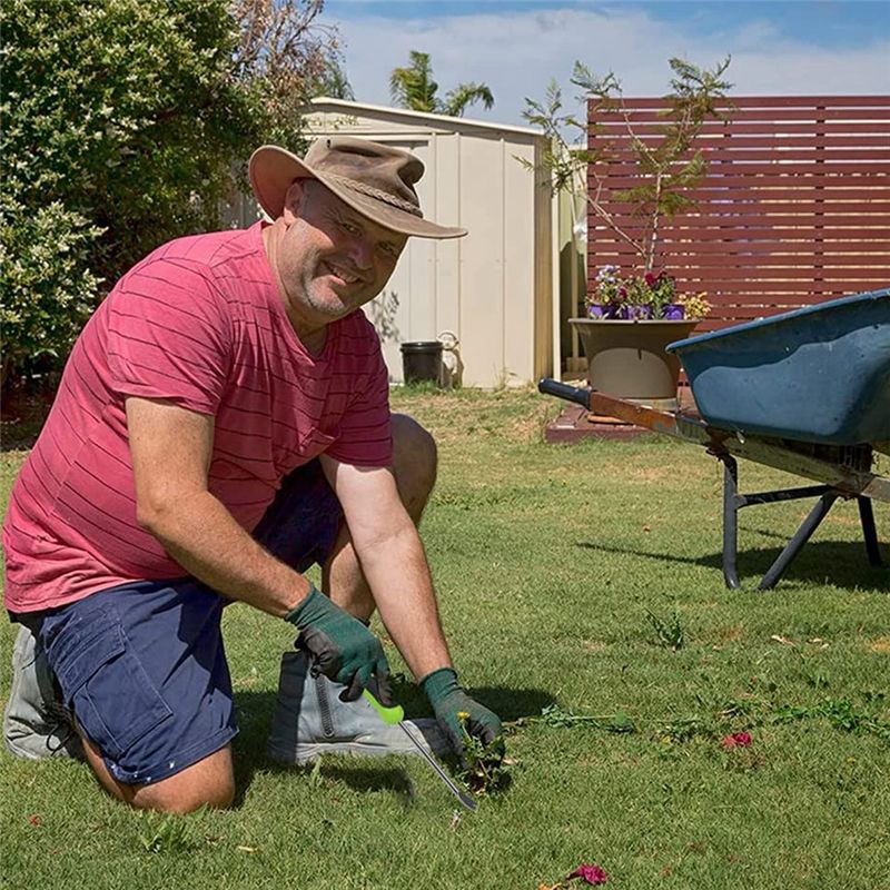 ABLK Lot de 2 outils de désher - Weed Puller avis et prix