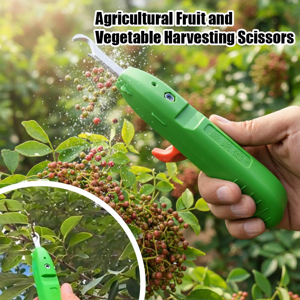Ciseaux de cueillette de fruit - Gardening Tools Usa avis et prix
