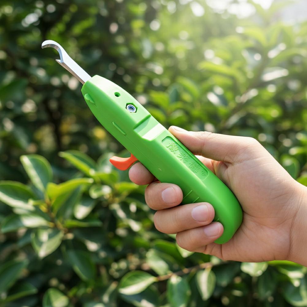 Ciseaux de cueillette de fruit - Gardening Tools Usa avis et prix