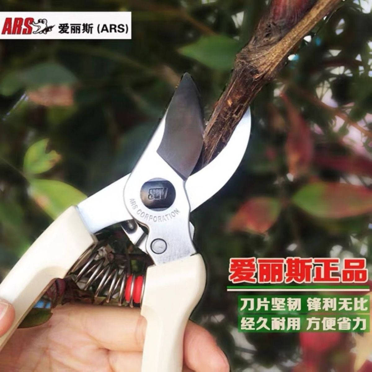 Ciseaux d'élagage Alice ARS im - Gardening Tools Japan avis et prix