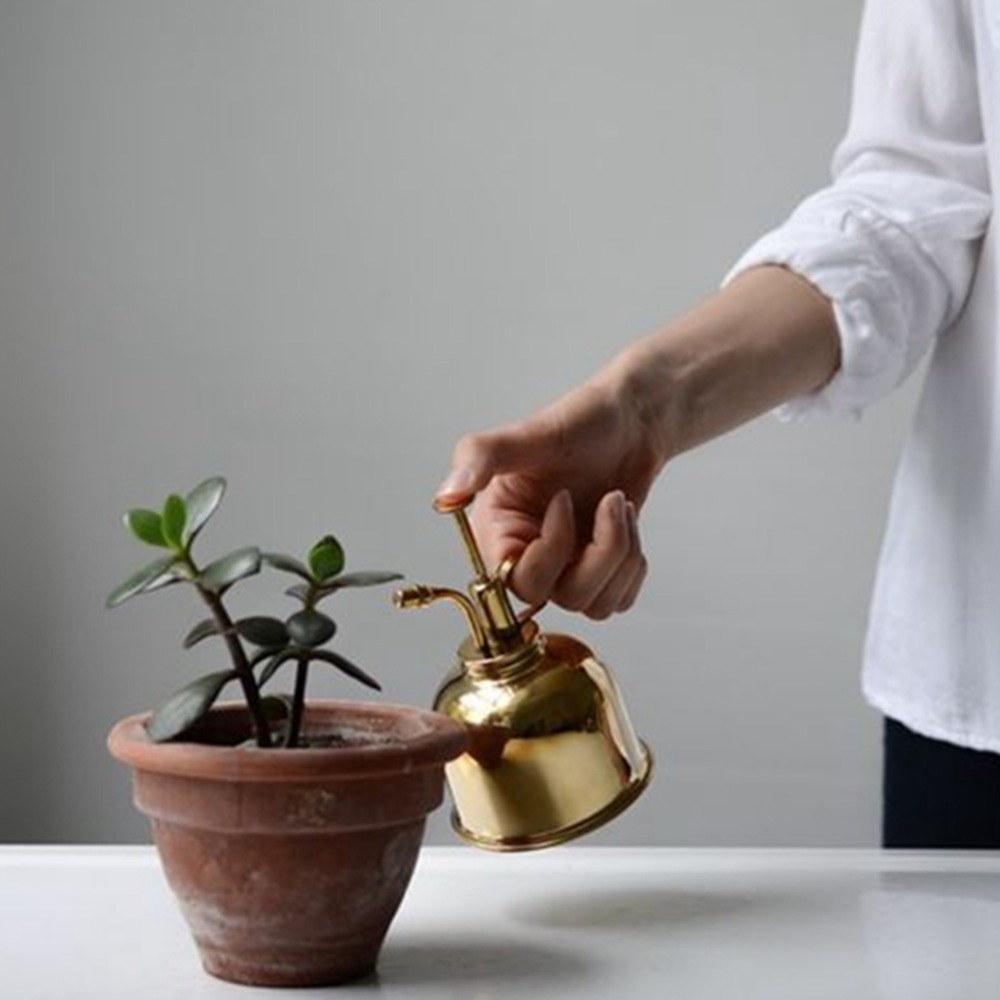 Arrosoir en laiton vintage pou - Gardening Tools Vintage avis et prix