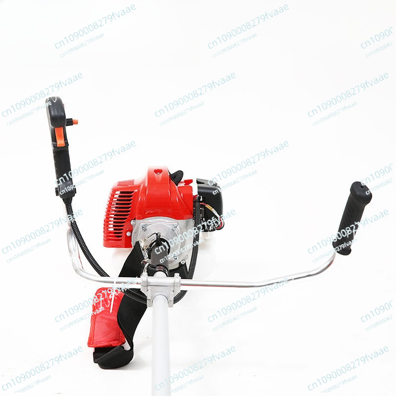 FS250 modèle de débroussailleu - Gardening Tools Best avis et prix
