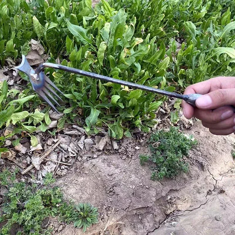 Désherbeur manuel de jardin en - Weed Puller avis et prix