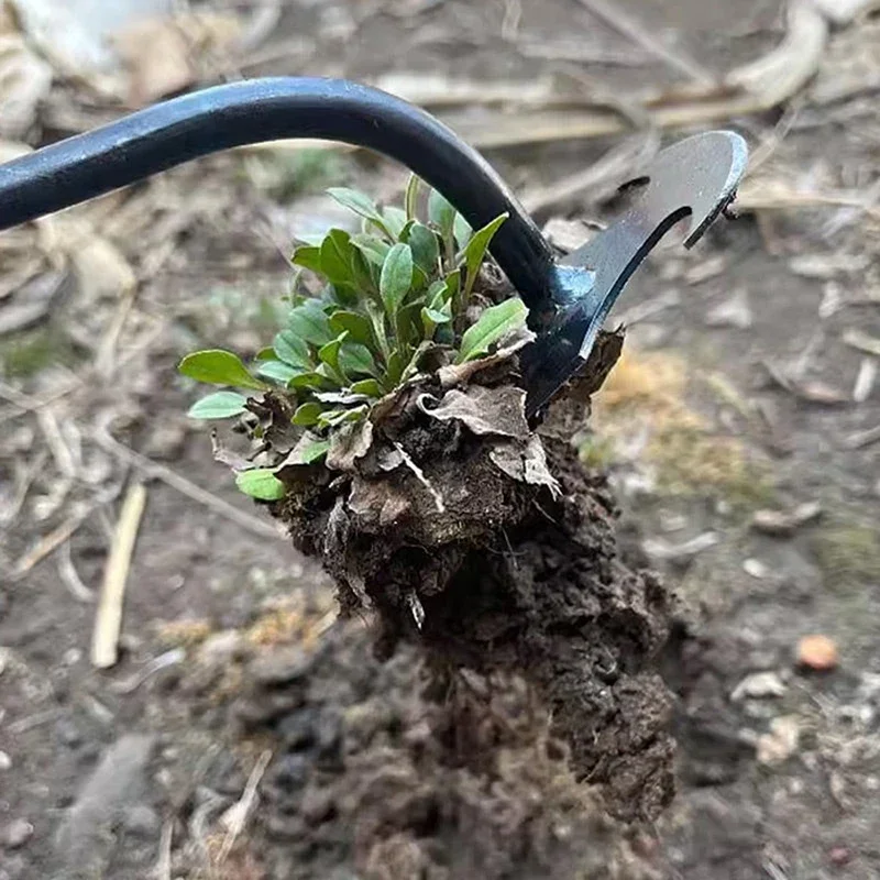 Désherbeur manuel de jardin en - Weed Puller avis et prix