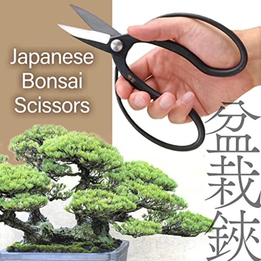 Ciseaux à bonsaï japonais Suir - Gardening Tools Japan avis et prix