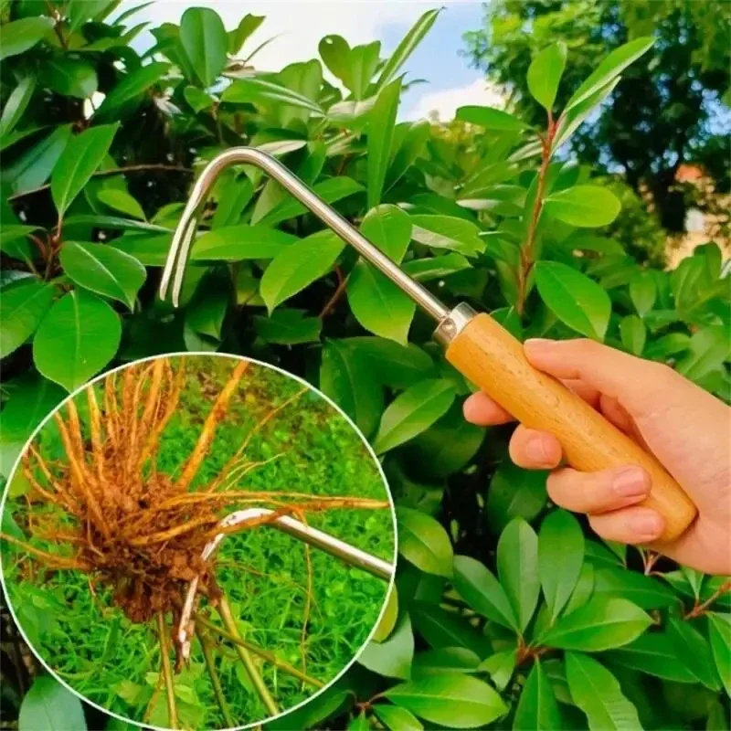 Désherbeur de jardinage en aci - Weed Puller avis et prix
