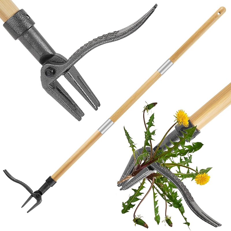 Outil flacon de mauvaises herb - Weed Puller avis et prix