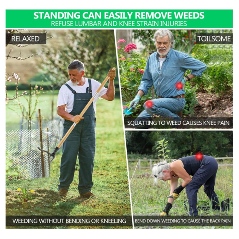 Outil flacon de mauvaises herb - Weed Puller avis et prix