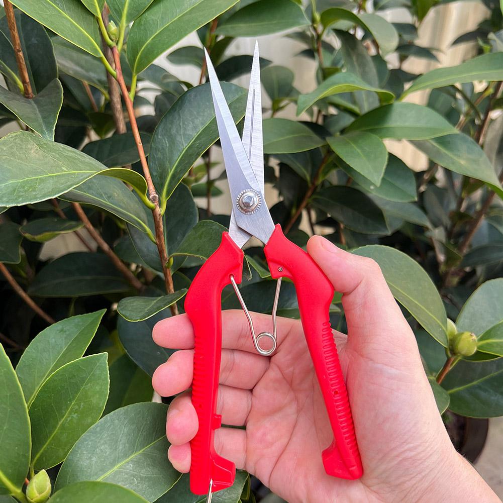 Sécateur de jardin professionn - Gardening Tools Usa avis et prix