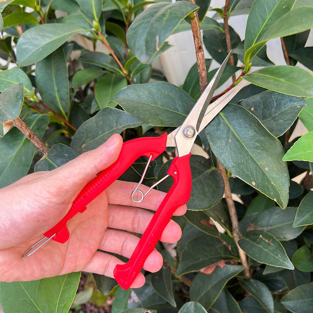 Sécateur de jardin professionn - Gardening Tools Usa avis et prix