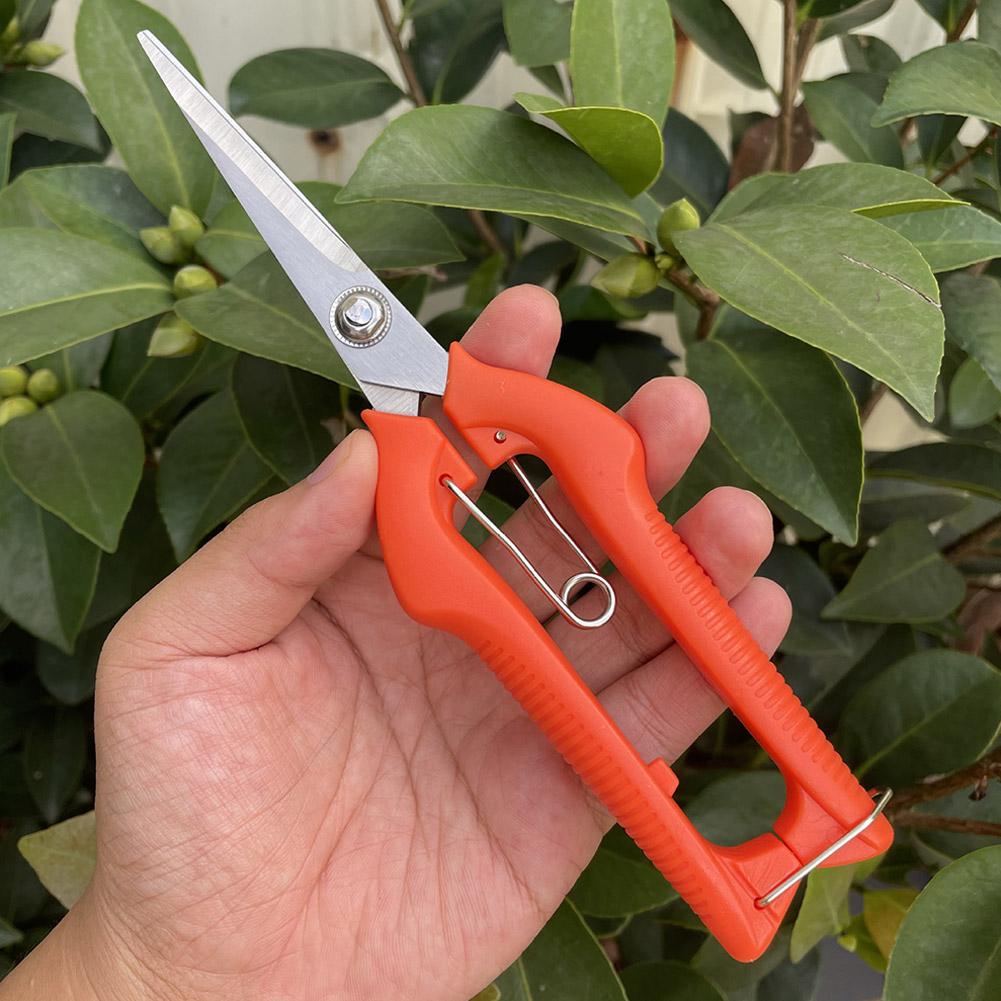 Sécateur de jardin professionn - Gardening Tools Usa avis et prix