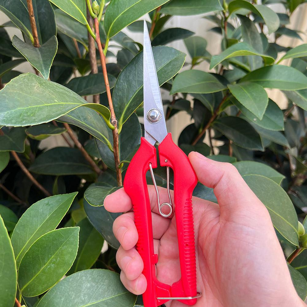 Sécateur de jardin professionn - Gardening Tools Usa avis et prix