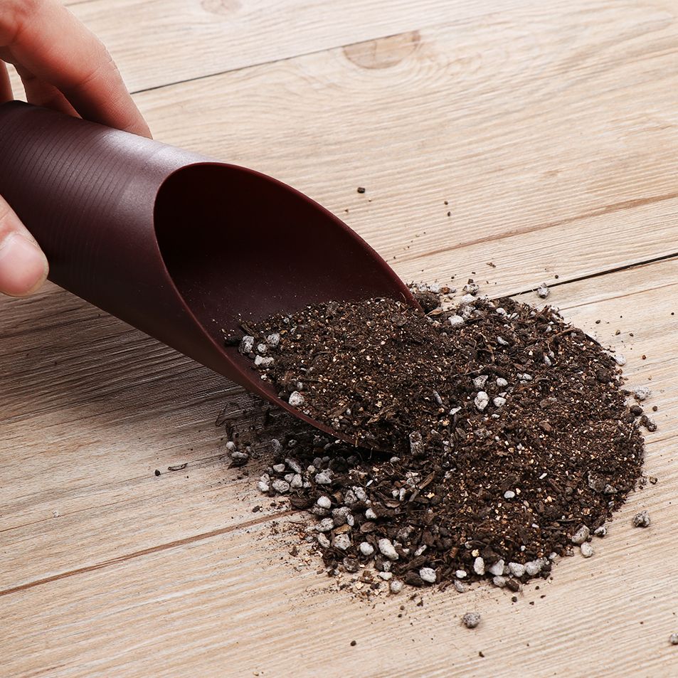 Tasse de pelle à sol en plasti - Gardening Tools Hand avis et prix